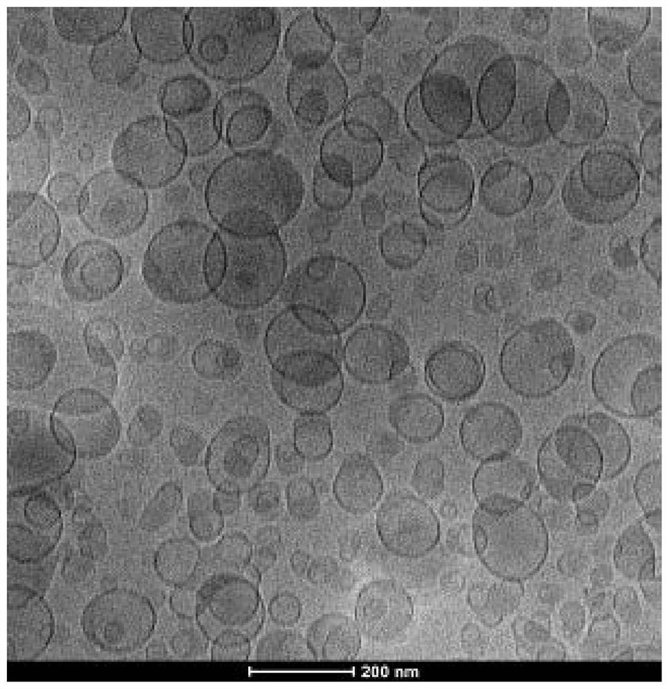 Ionizable lipid molecule, preparation method thereof, and application of ionizable lipid molecule in preparation of lipid nanoparticles