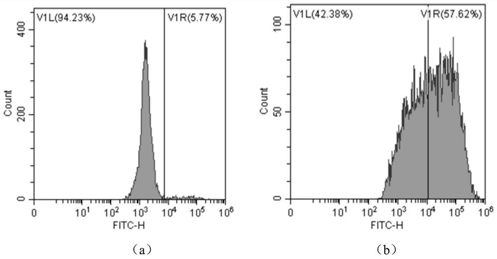 Ionizable lipid molecule, preparation method thereof, and application of ionizable lipid molecule in preparation of lipid nanoparticles