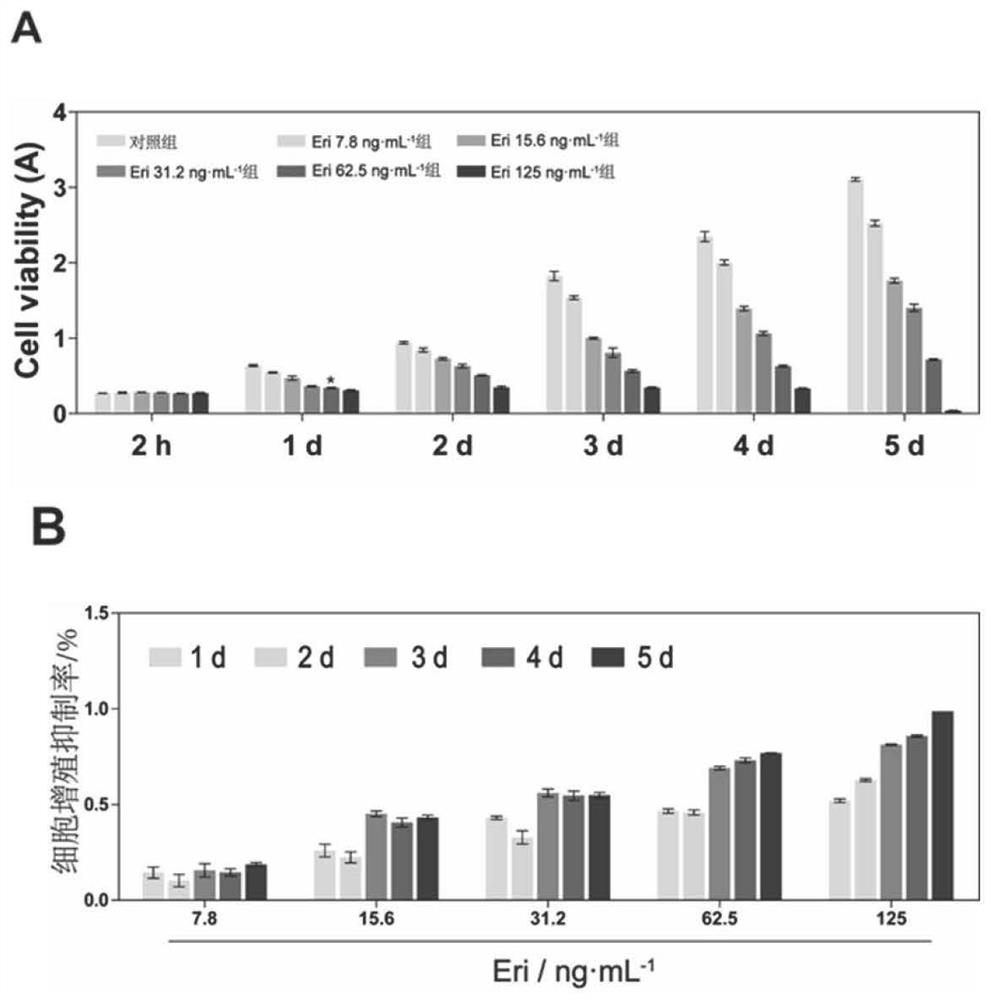 Use of erianin in preparing anti-bladder cancer drug for targeted inhibition of AKT activation