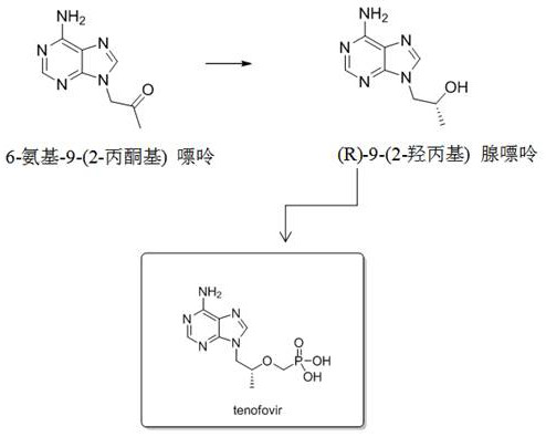 Application of dehydrogenase to preparation of (R)-9-(2-hydroxypropyl) adenine