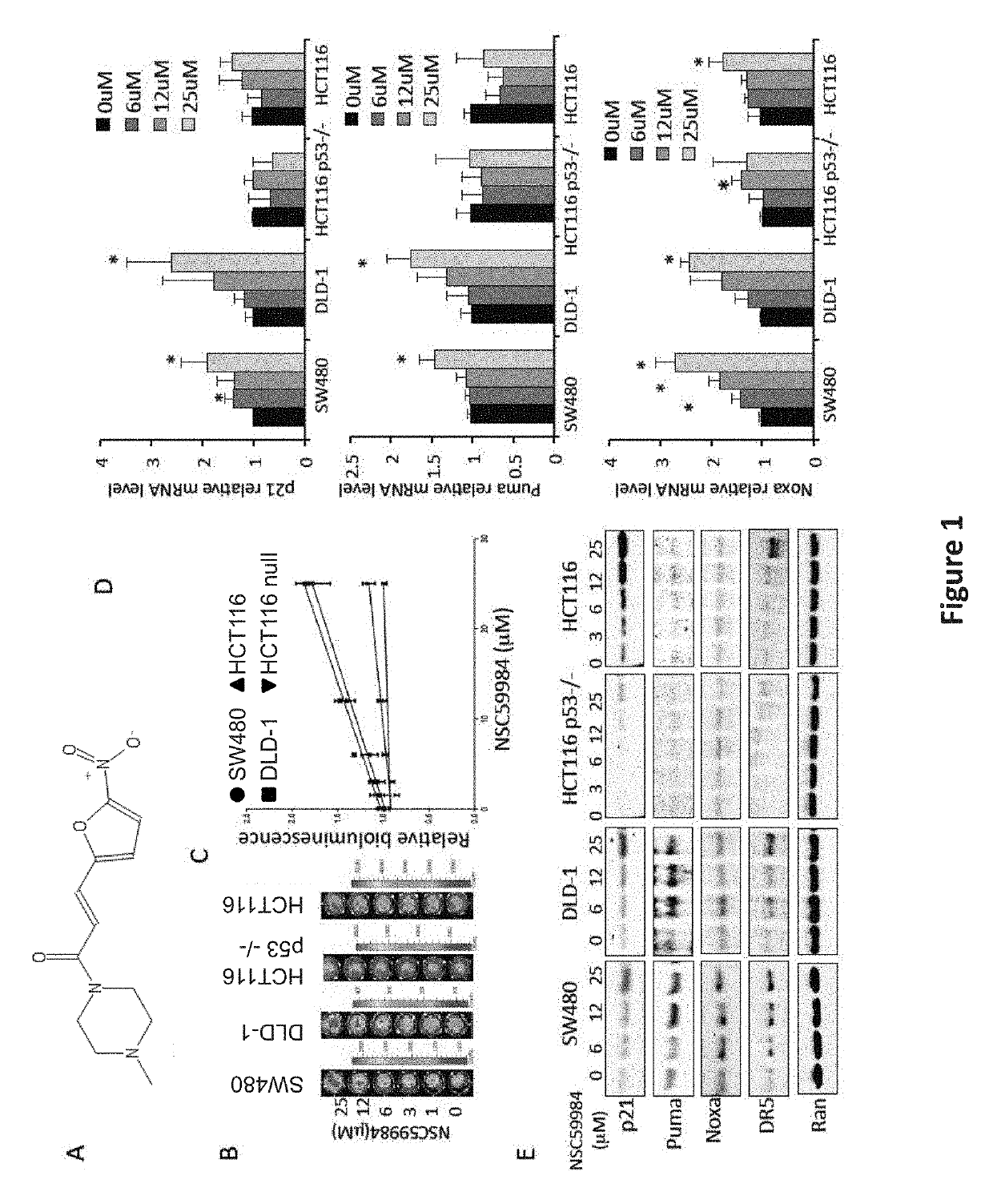 Compound for anti-cancer therapy that acts by targeting GOF mutant P53 and stimulates P73 to restore the P53 pathway signaling