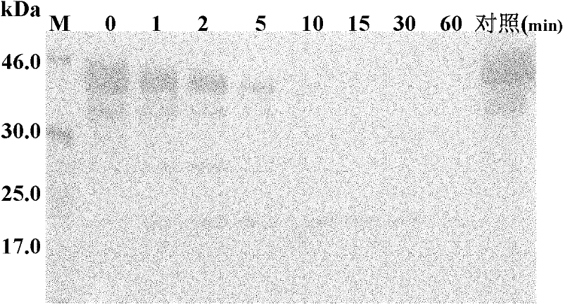 Processing method of hypoallergenic canned crab meat