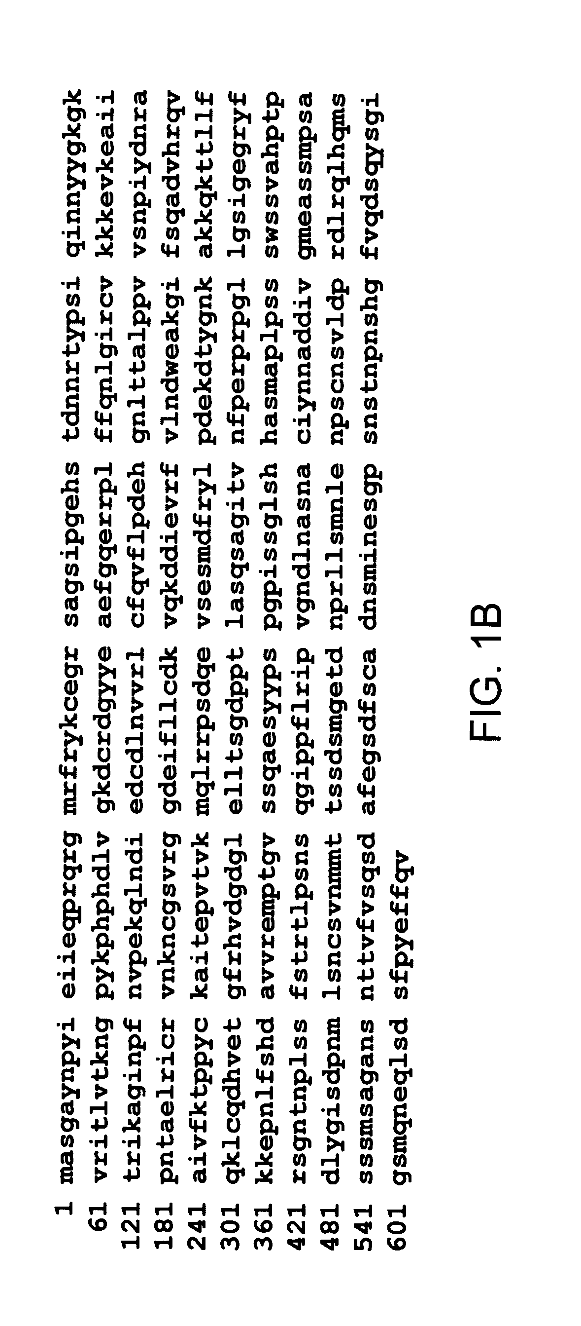 Compositions and methods for modulating c-rel-dependent cytokine production