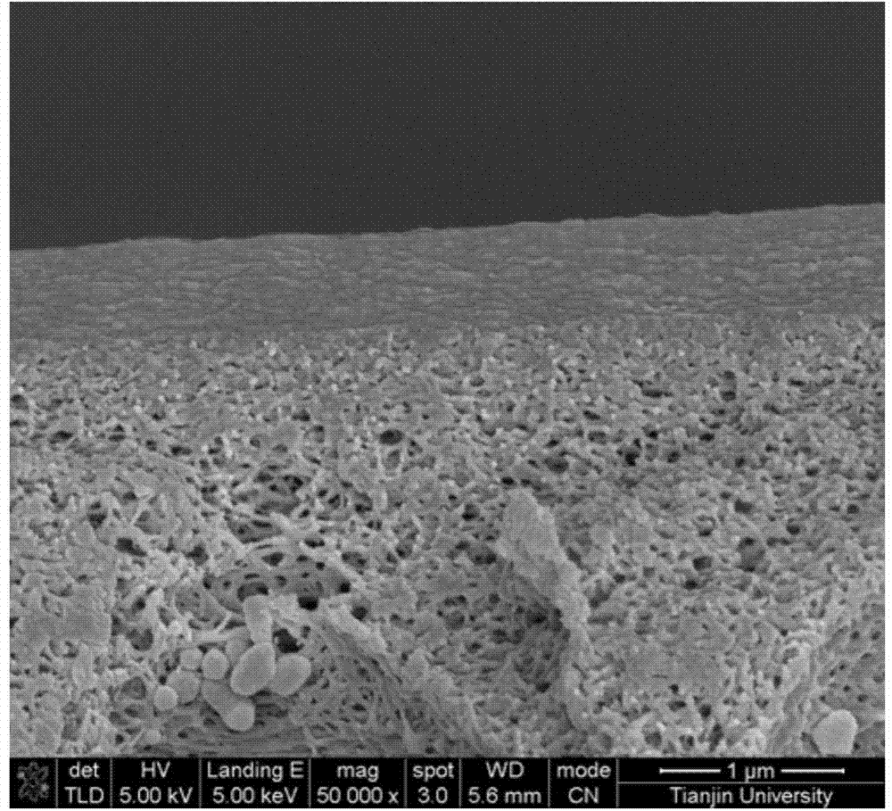 Sodium alginate-graphite phase carbon nitride nano-sheet hybridized composite membrane as well as preparation and application of composite membrane