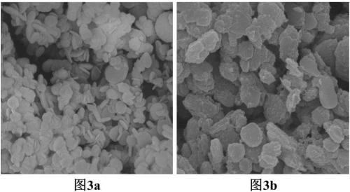 Surface-modification method for hexagonal boron nitride