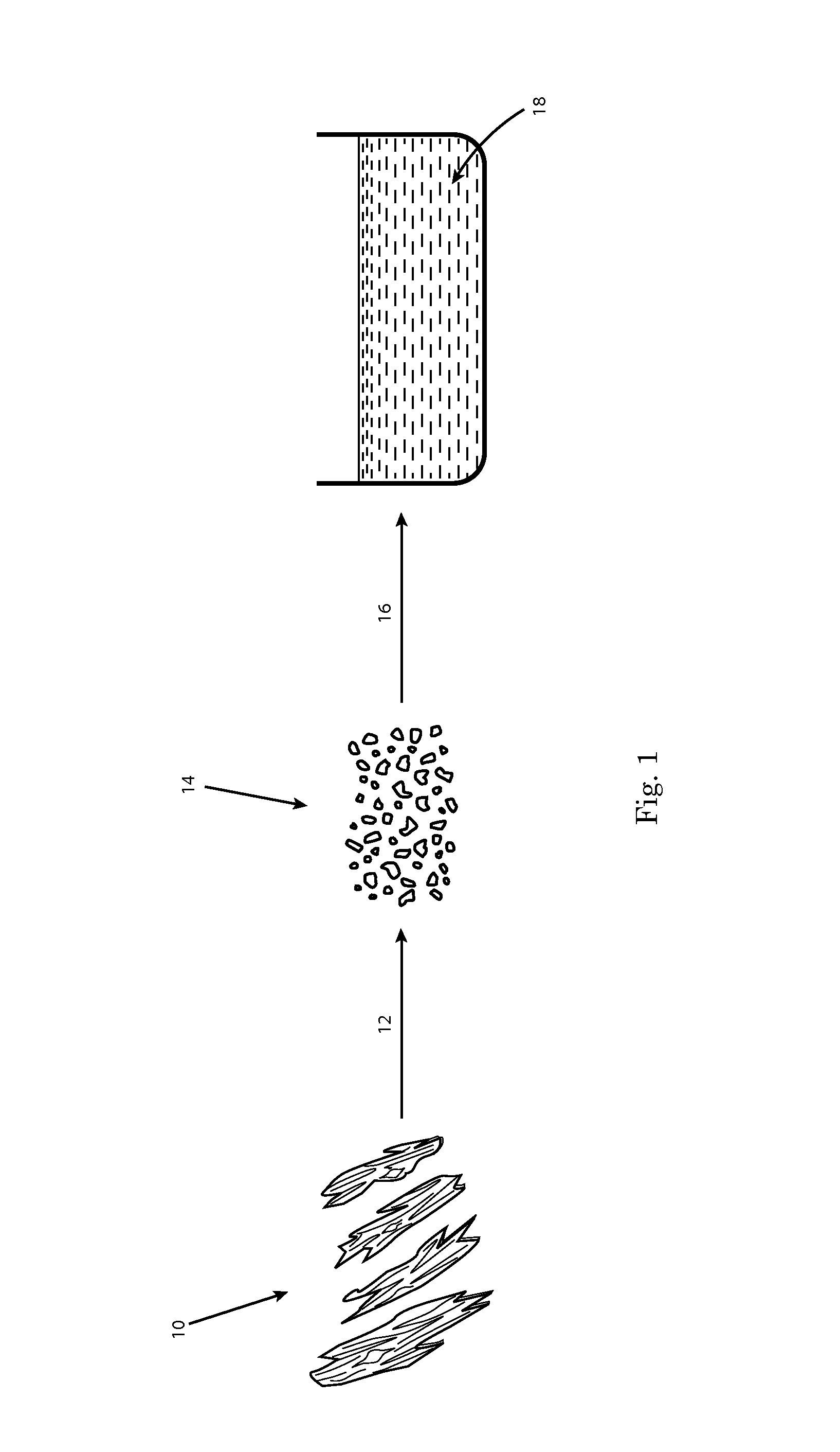 Fibers comprising hemicellulose and processes for making same