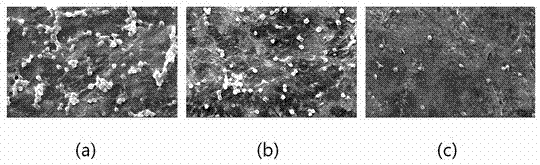 Surface modification method for polymer separation membrane