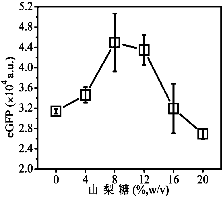 Micromolecular saccharide-containing system for in-vitro high-efficiency protein synthesis