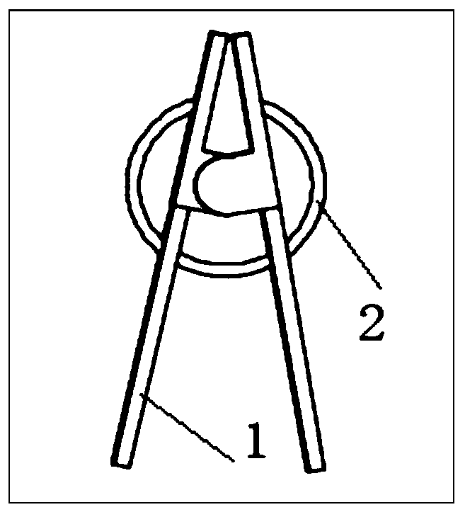 Grafting clamp posture recognition method based on machine vision