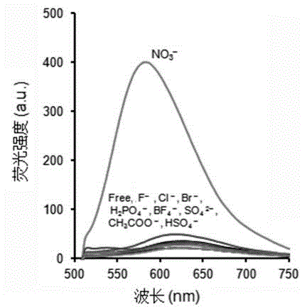 NO&lt;3&gt;&lt;-&gt; ion detection reagent and application thereof