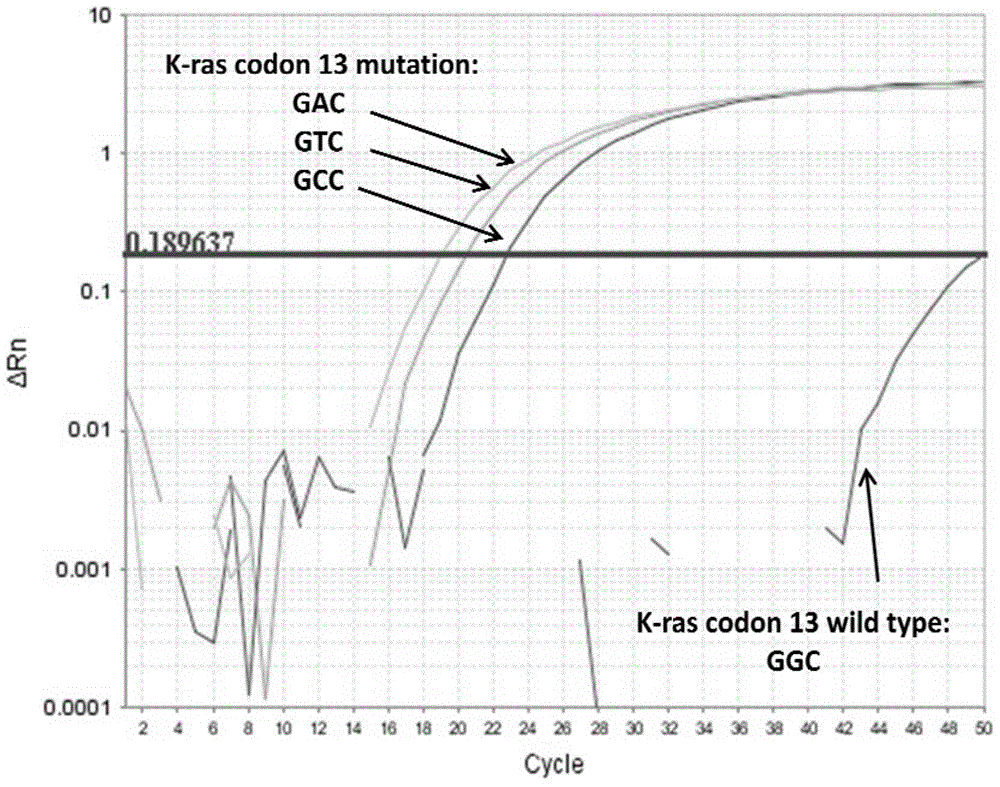Probe for detecting K-ras gene mutation, primer, kit and method