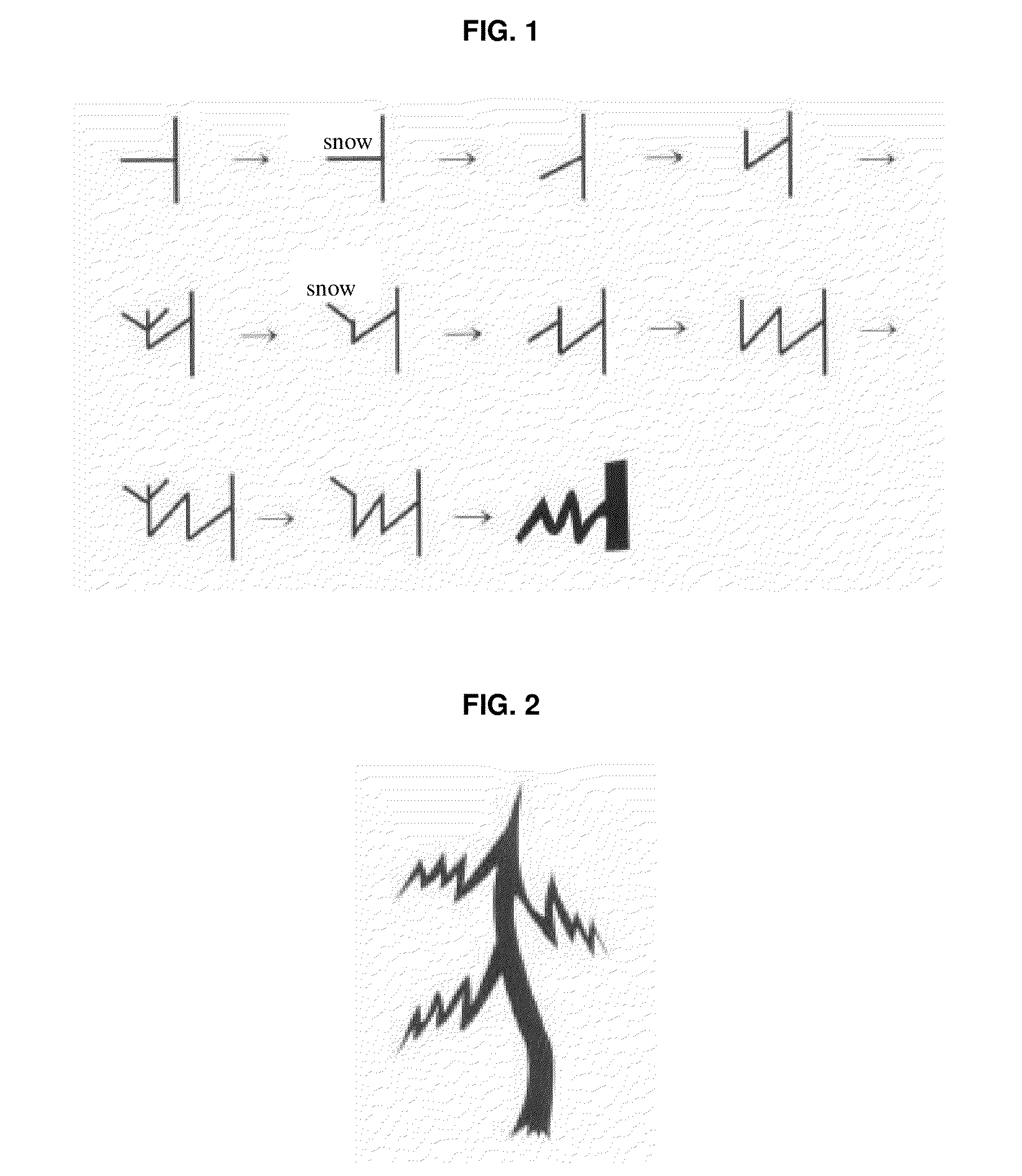 Method for forming ornamental tree by pruning and inducing growth of branches