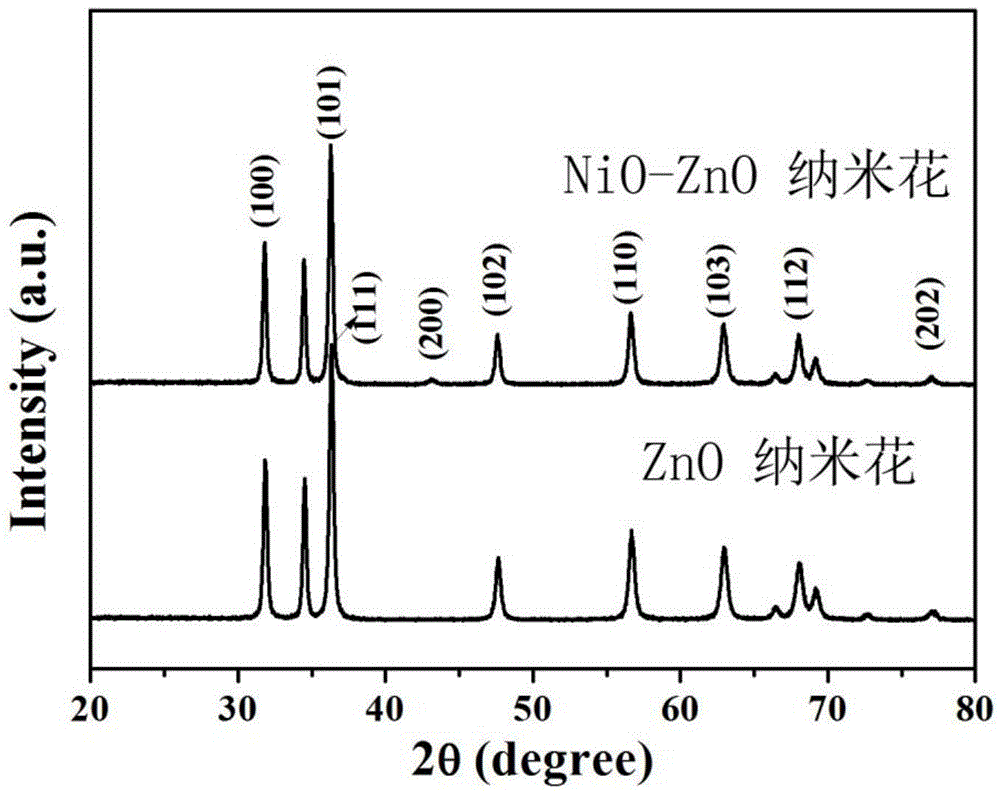 Acetone sensor based on NiO/ZnO heterostructure nanoflower sensitive material and preparation method of acetone sensor