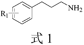 Synthesis method of (+/-)-alpha-fluoro-gamma-amino acid