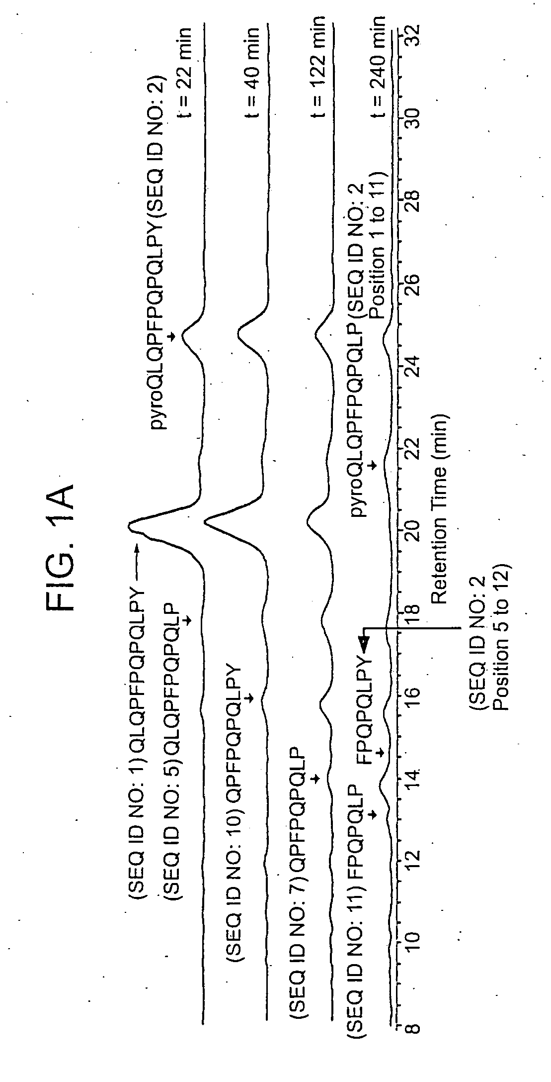 Peptides for diagnostic and therapeutic methods for celiac sprue