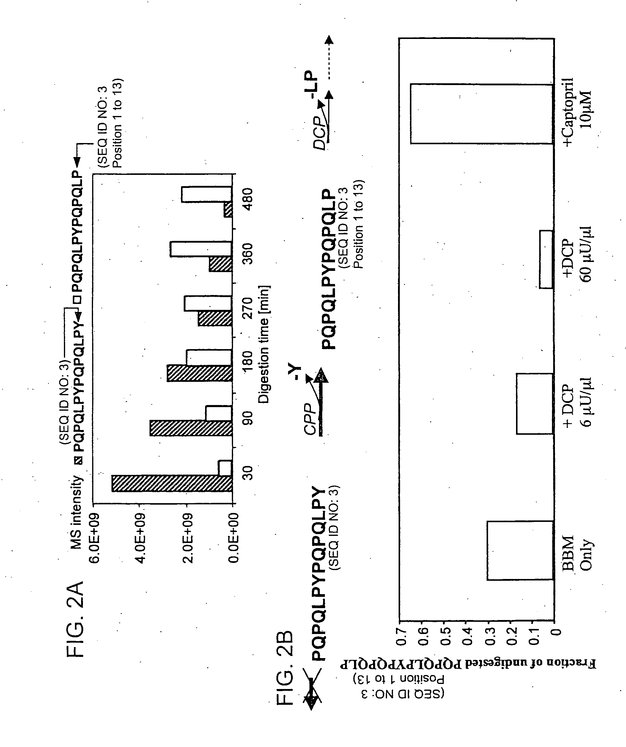 Peptides for diagnostic and therapeutic methods for celiac sprue