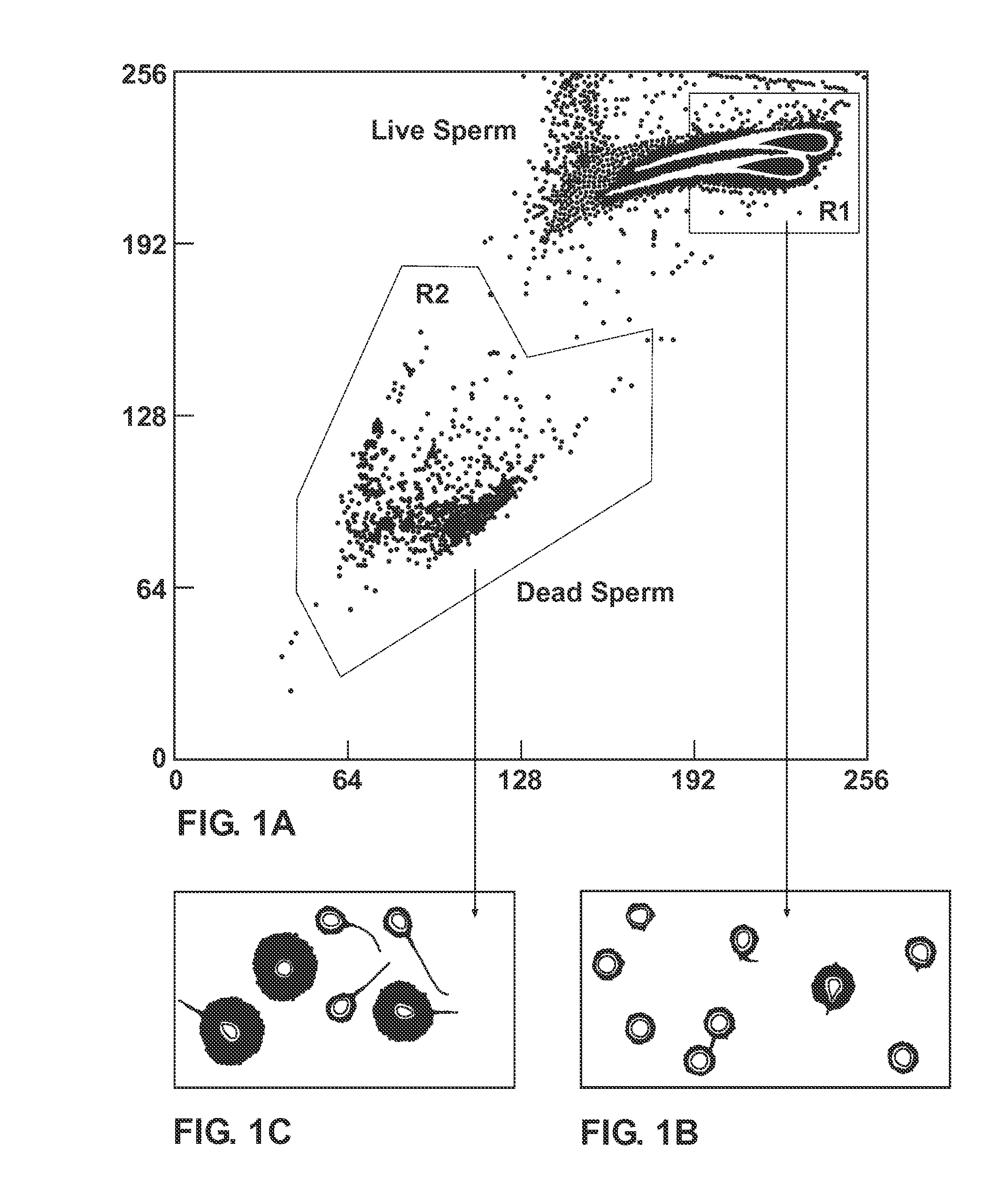 Methods and systems for reducing DNA fragmentation in a processed sperm sample