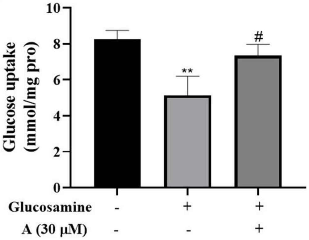 Application of 3-aryl coumarin compound and insulin resistance preparation