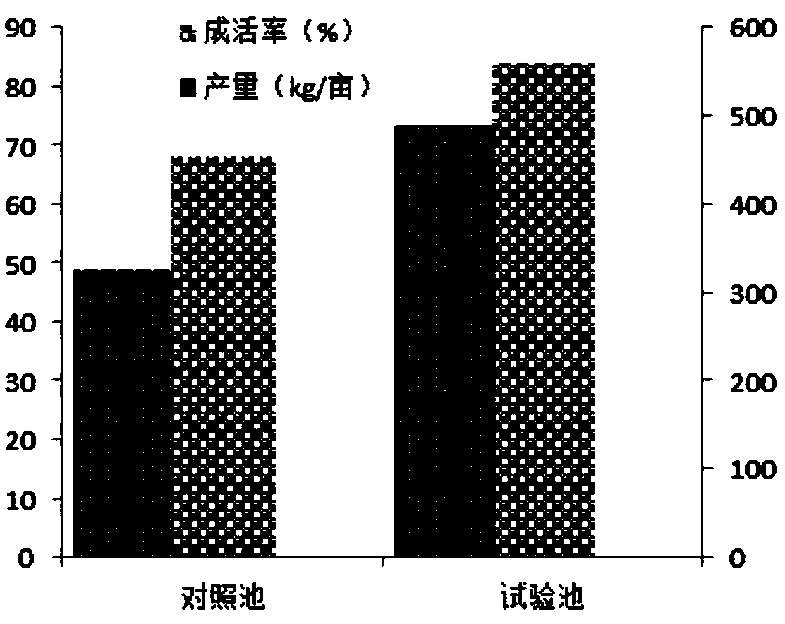 Method for improving bottom characteristic of intensive shrimp pond