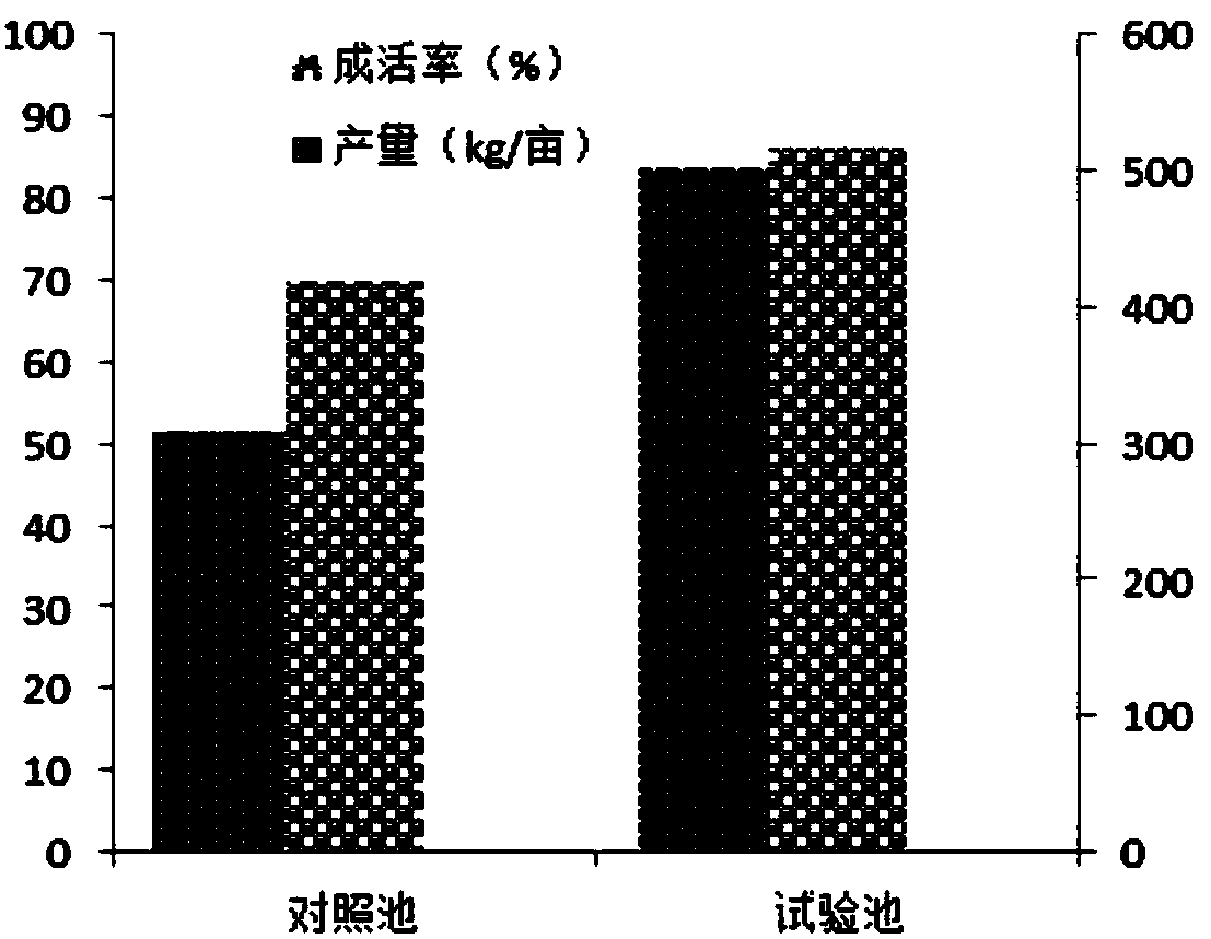 Method for improving bottom characteristic of intensive shrimp pond