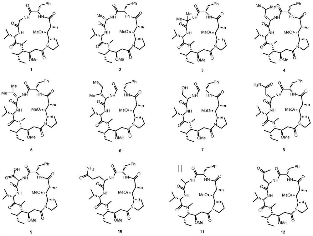 Dolastatin 10-cyclic peptide derivative and its preparation method and application