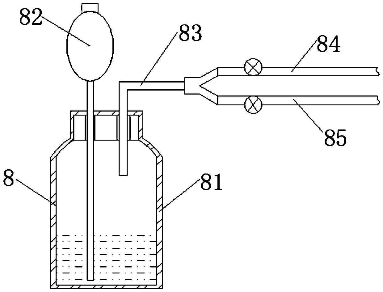 Plant 13C isotope labeling device