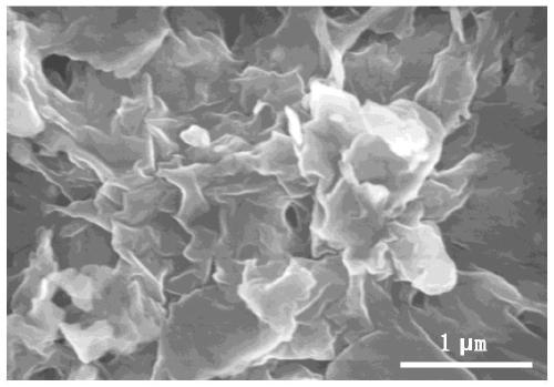 Sulfur defect-rich sulfurized ferrophosphorus nanosheet as well as preparation method and application thereof