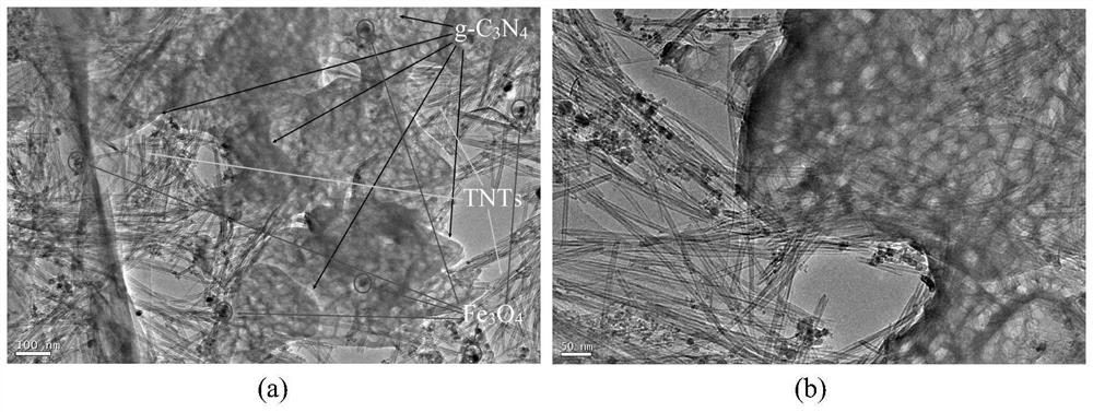 Magnetically separable tnts/g-c  <sub>3</sub> no  <sub>4</sub> Preparation method and application of nanocomposite materials