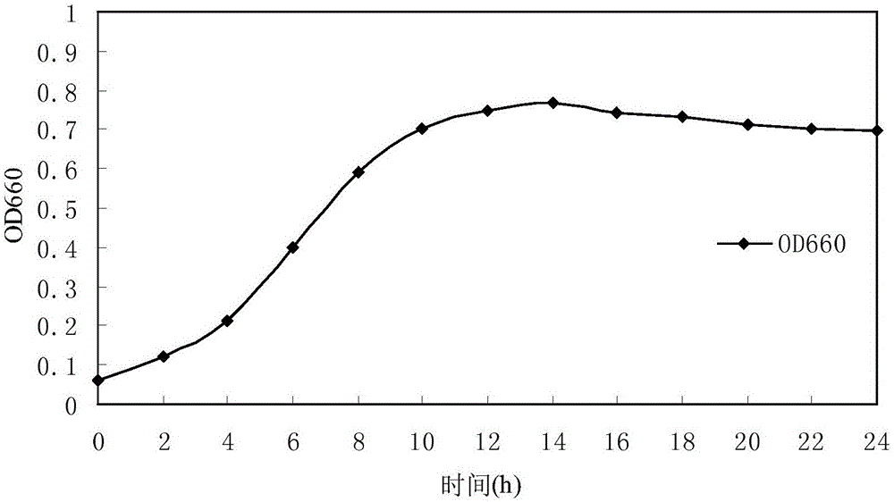 Aerobic denitrifying pseudomonas and application thereof