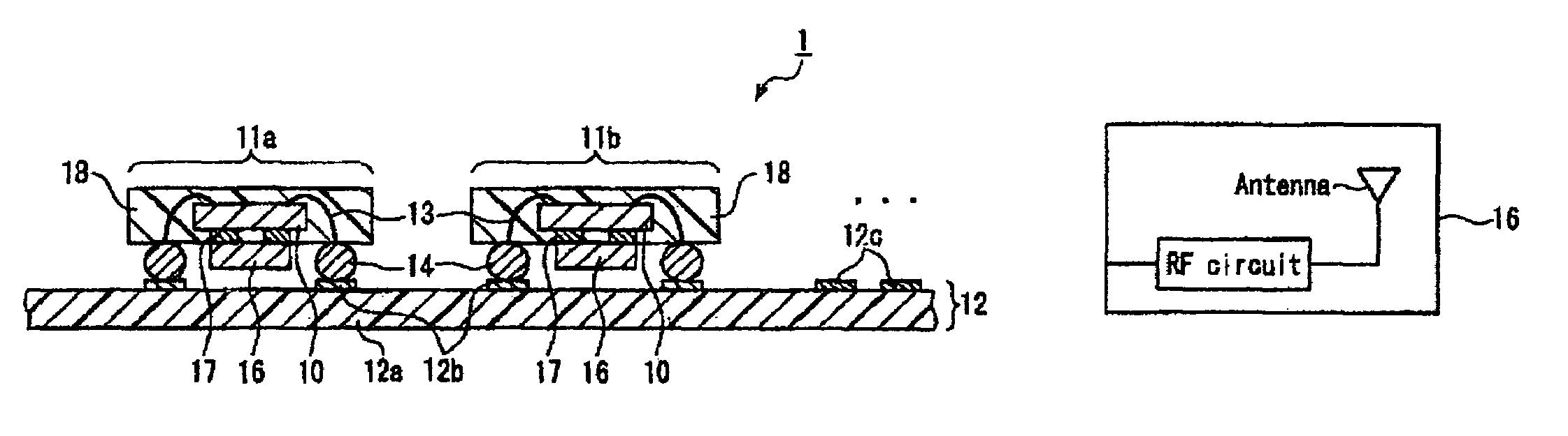 Module and mounted structure using the same