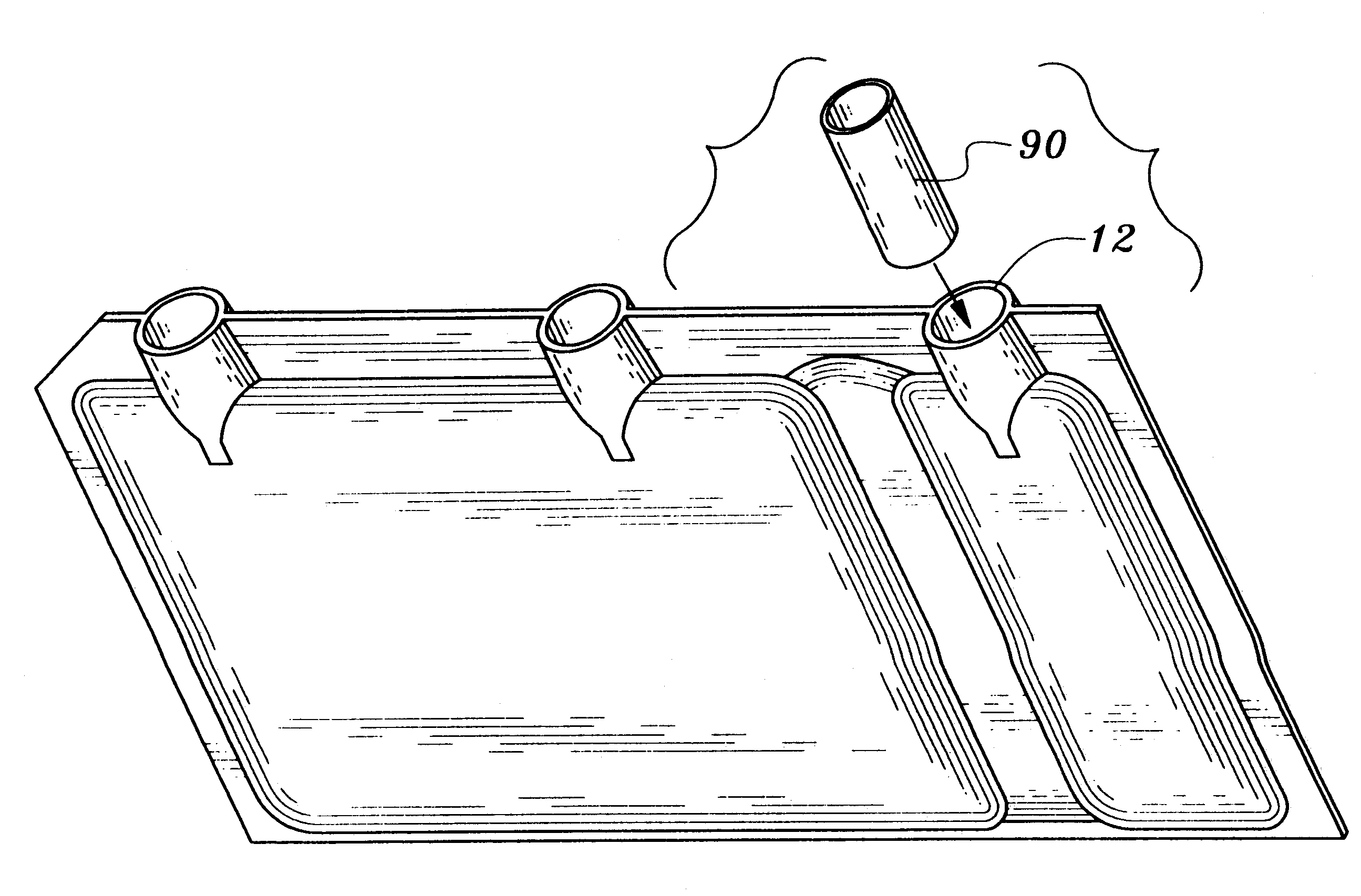 Freezing and thawing bag, mold, apparatus and method