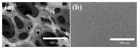 A wear-resistant superhydrophobic superoleophilic polyurethane sponge, its preparation method and its application in the continuous separation of oil and water
