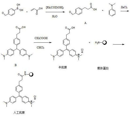 A kind of synthesis method of dominant malachite green hapten and its application of hapten