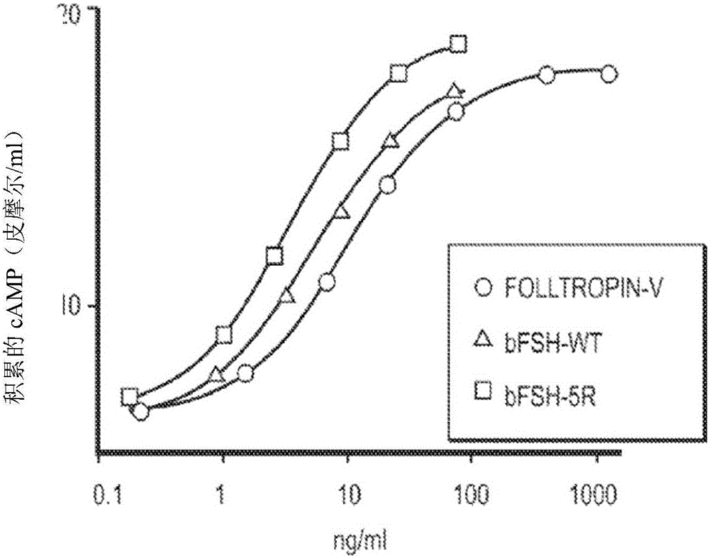 Glycoprotein hormone long-acting superagonists