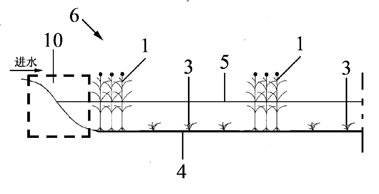 Surface flow wetland water purification system with combined-type flows and water purification method