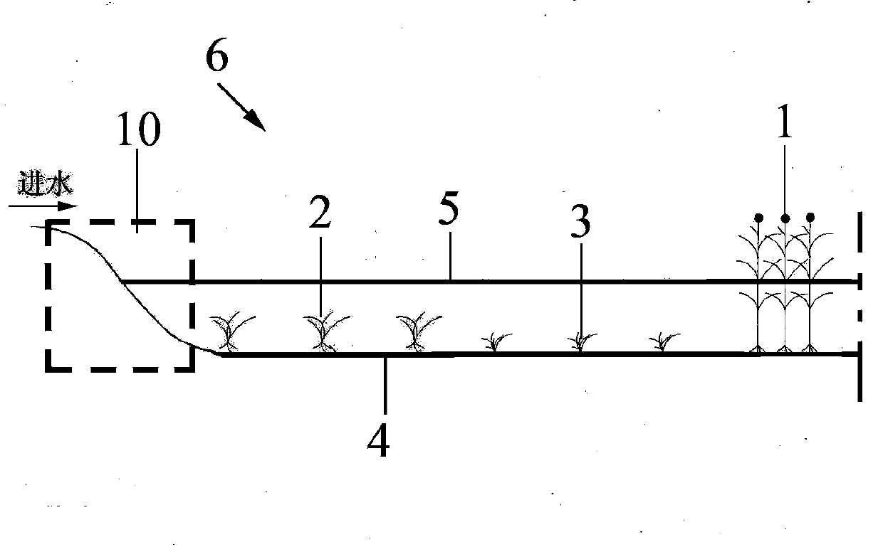 Surface flow wetland water purification system with combined-type flows and water purification method