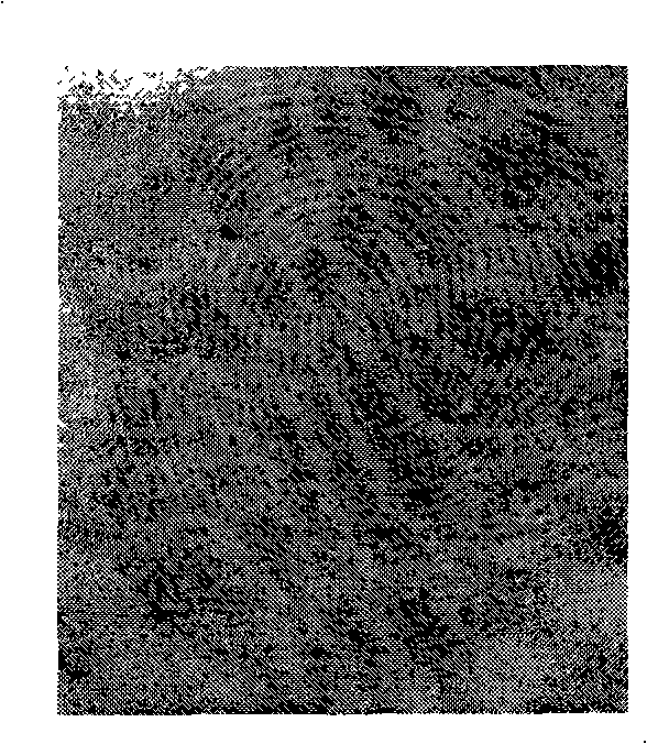 Method for latency fingerprint appearance of surface functionalization nano-gold particle
