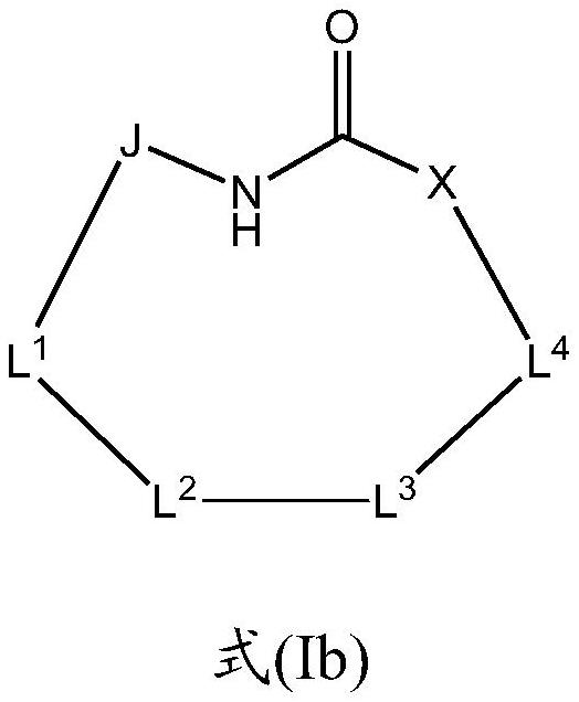 Macrocyclic sulfonamide derivatives useful as NLRP3 inhibitors