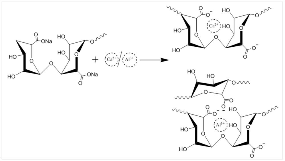 A kind of sodium alginate/n-succinyl chitosan composite airgel and its preparation method and application