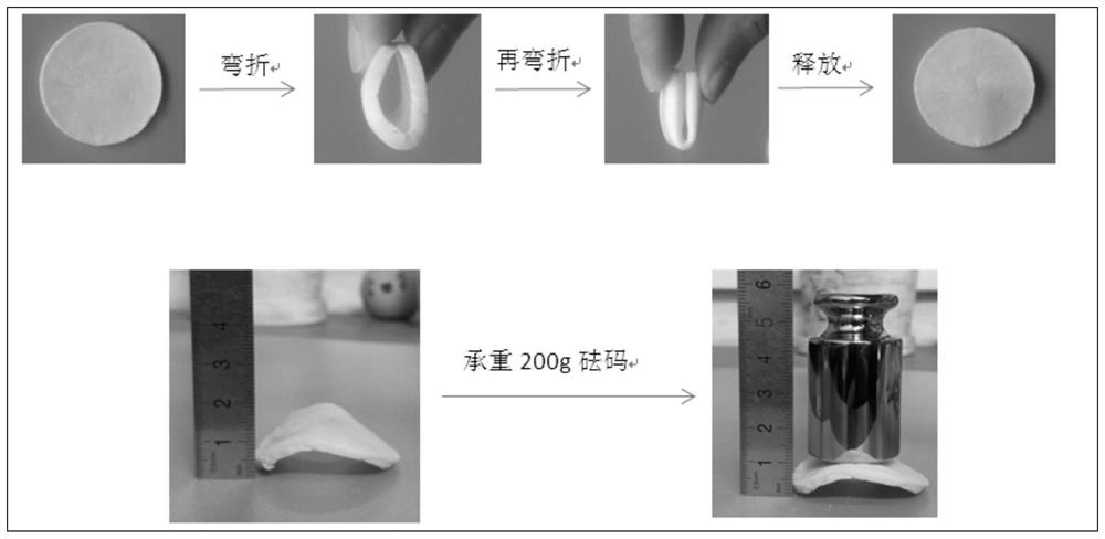 A kind of sodium alginate/n-succinyl chitosan composite airgel and its preparation method and application