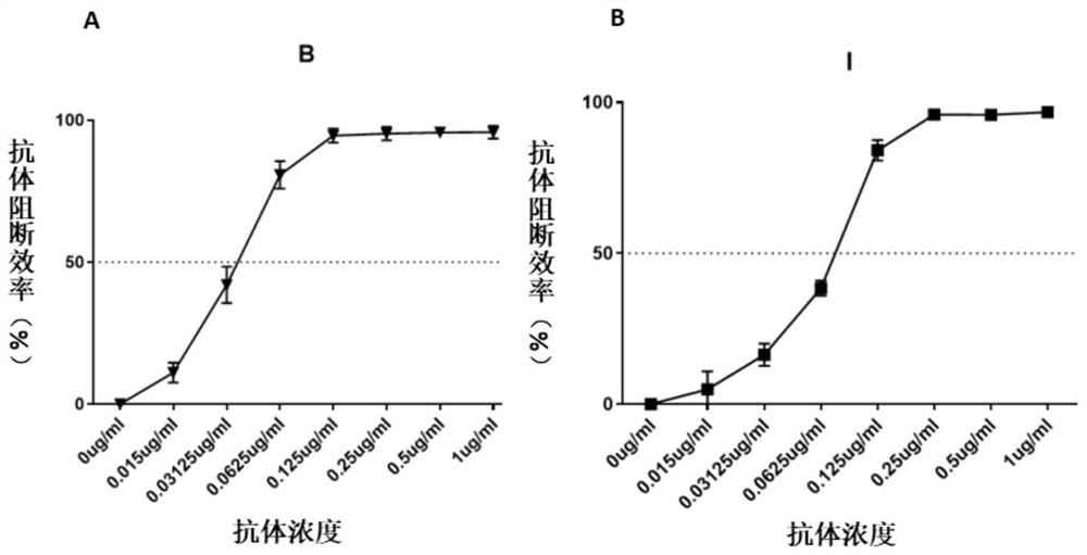 Method for evaluating the blocking activity of immune checkpoint molecule blocking antibody by magnetic beads