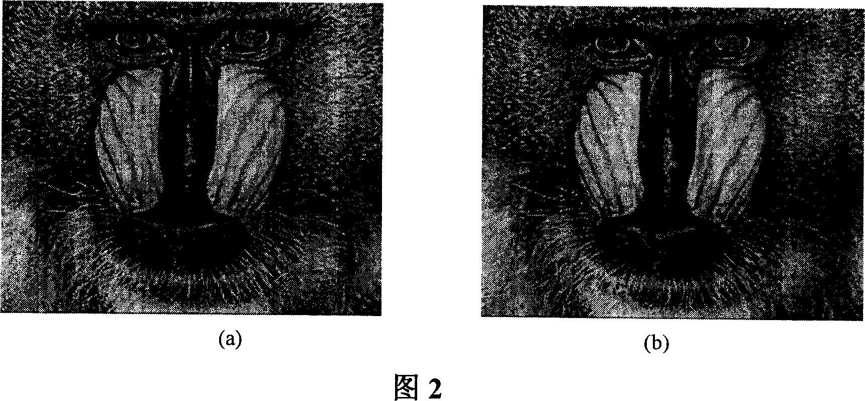 Digital image recognising method based on characteristics