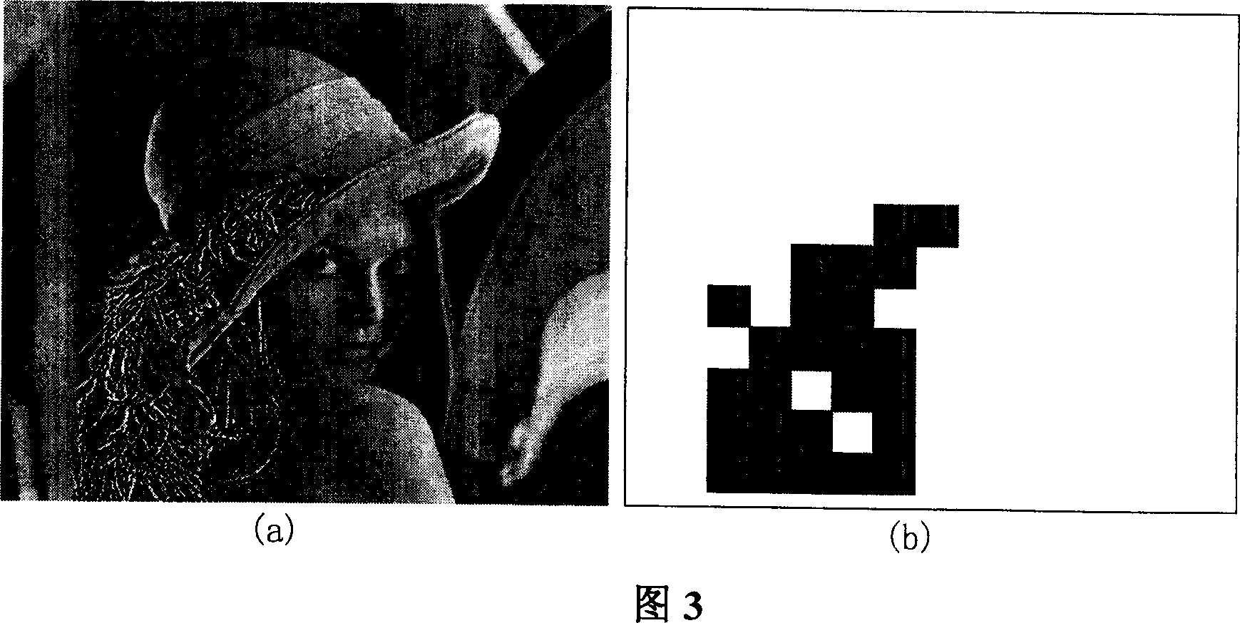 Digital image recognising method based on characteristics