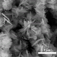Preparation method of CuCl/Cu2O/Cu porous nanosheets and obtained product