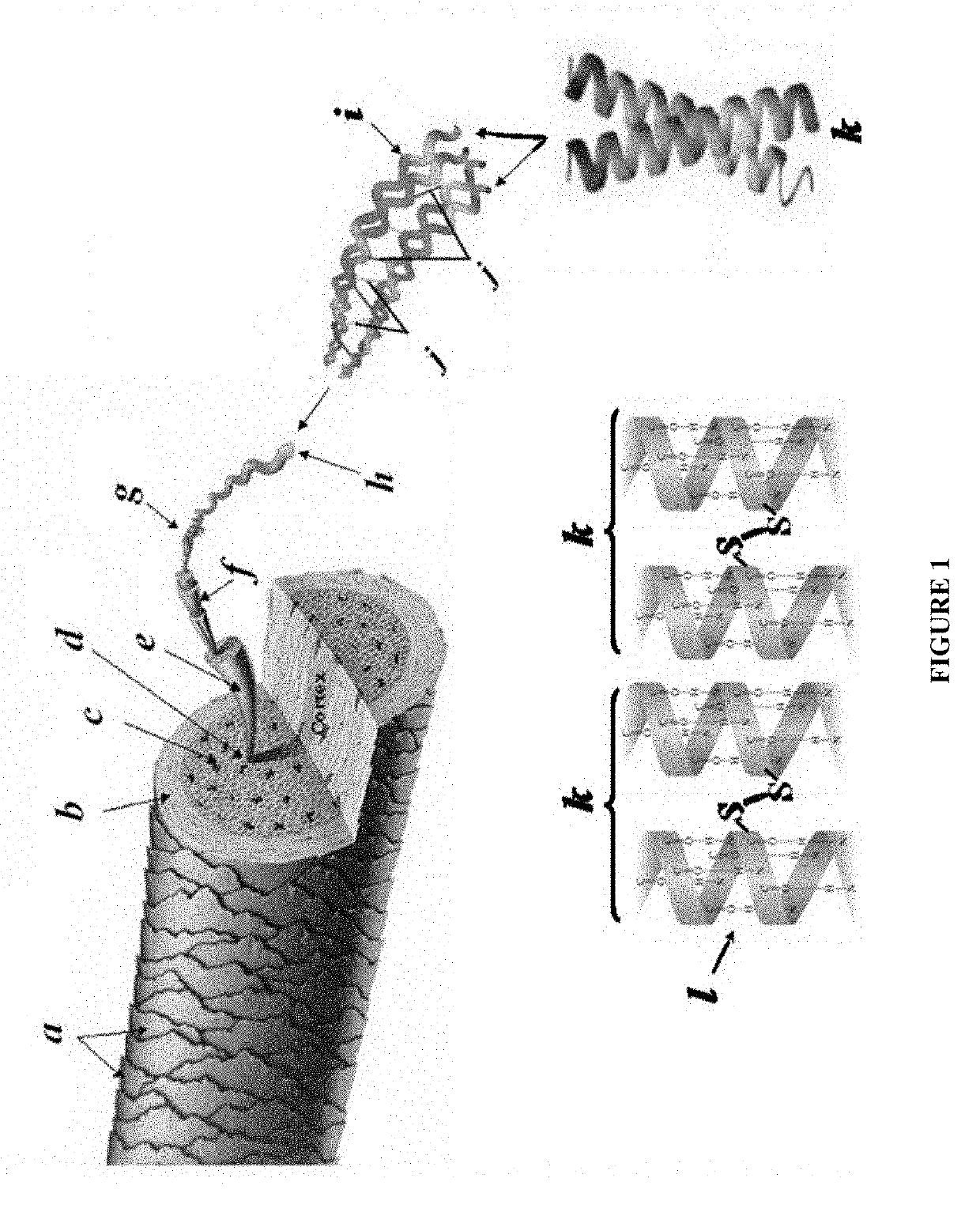 Process to extract and recover keratin and keratin associated protein from animal body parts