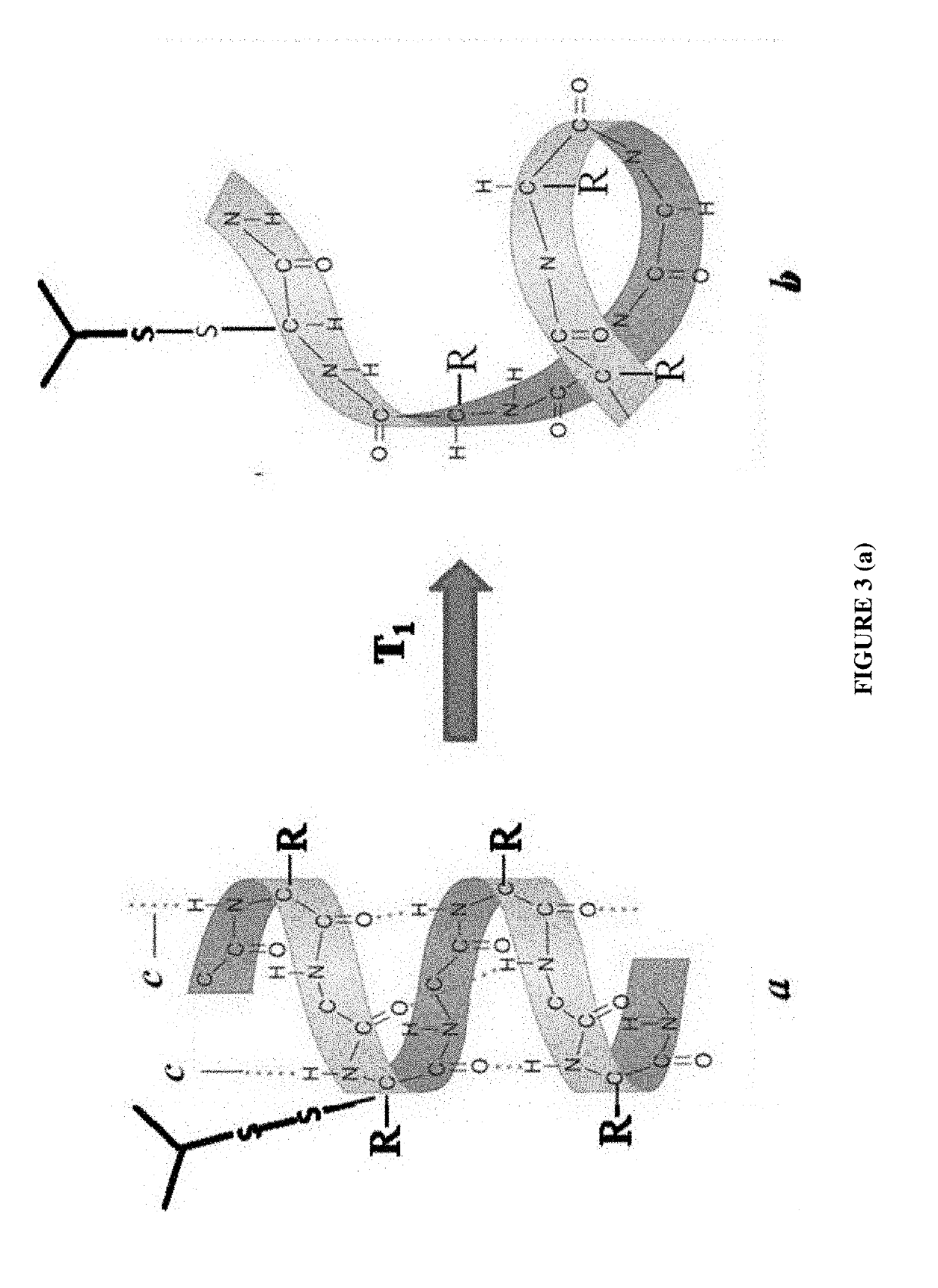 Process to extract and recover keratin and keratin associated protein from animal body parts