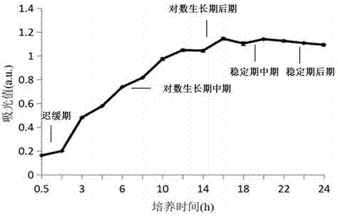 Method for increasing yield of oligopeptide prepared by liquid state fermentation