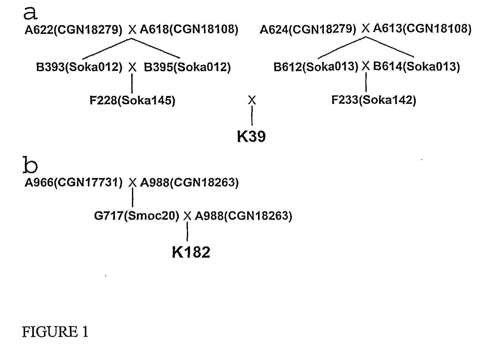 Late blight resistance genes and methods