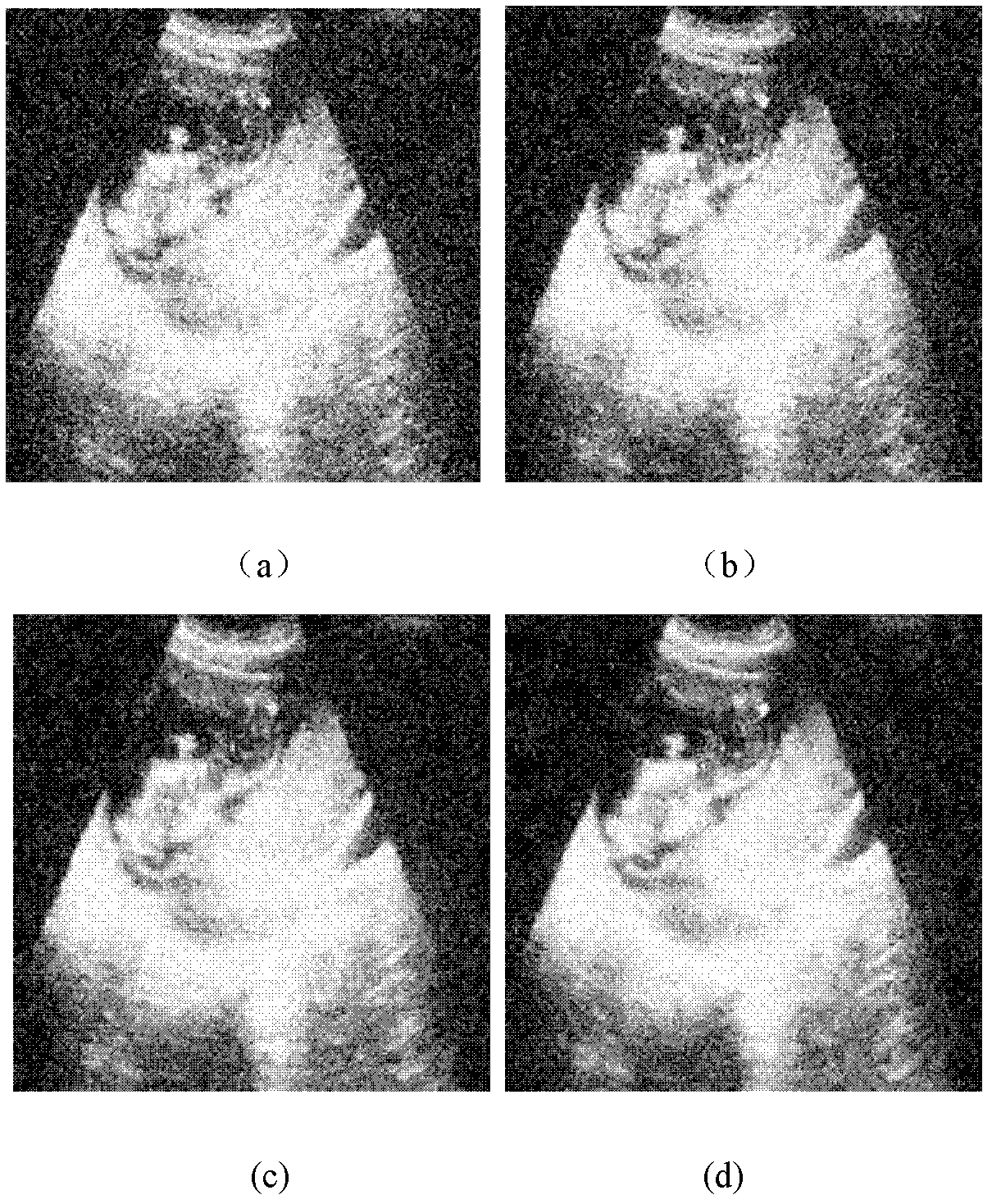 Underwater sonar image denoising method based on dual-tree complex wavelet transform and PCA