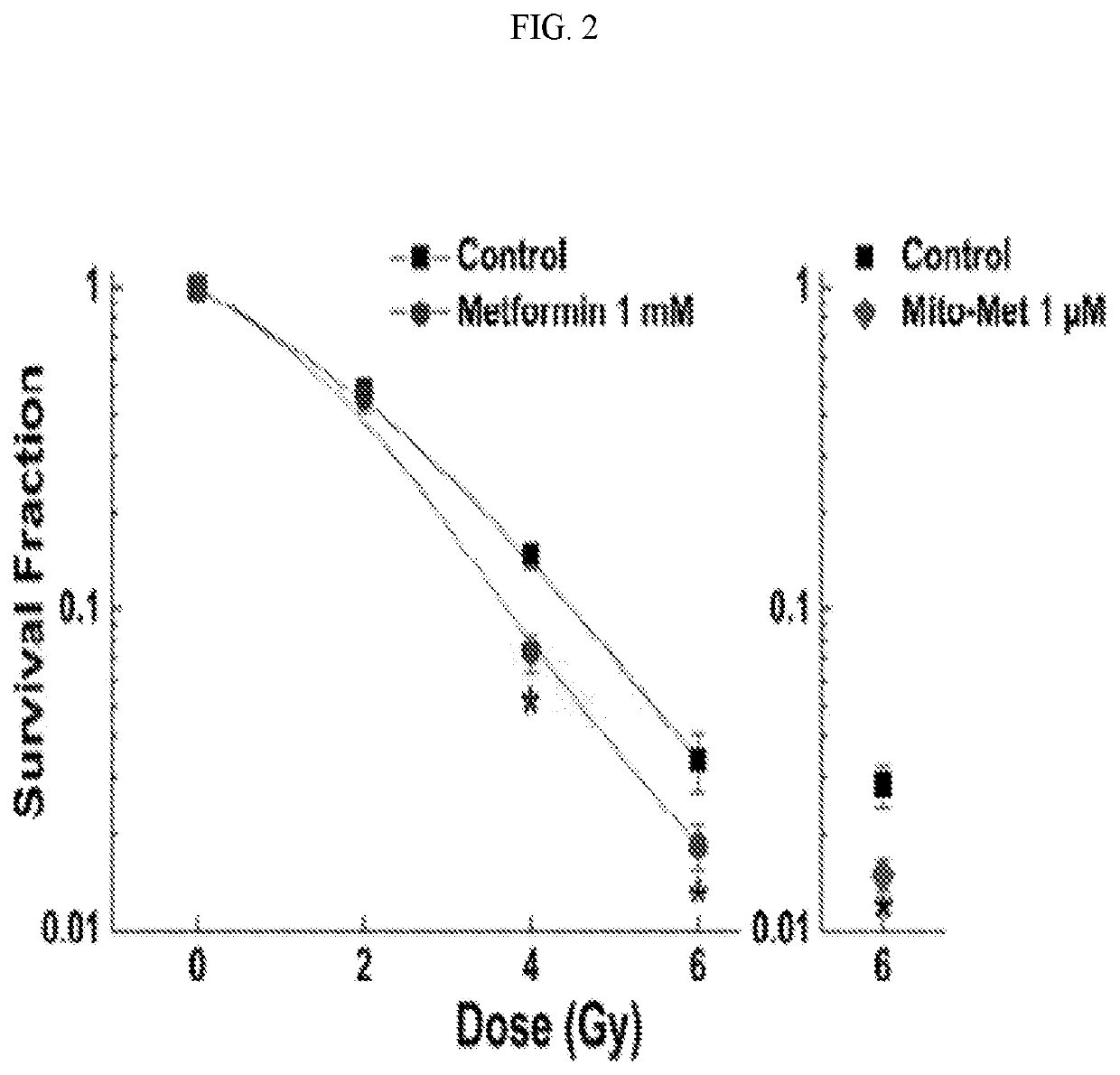 Synergistic inihibition of tumor cell proliferation induced by combined treatment of metformin or metformin analogs and iron chelators